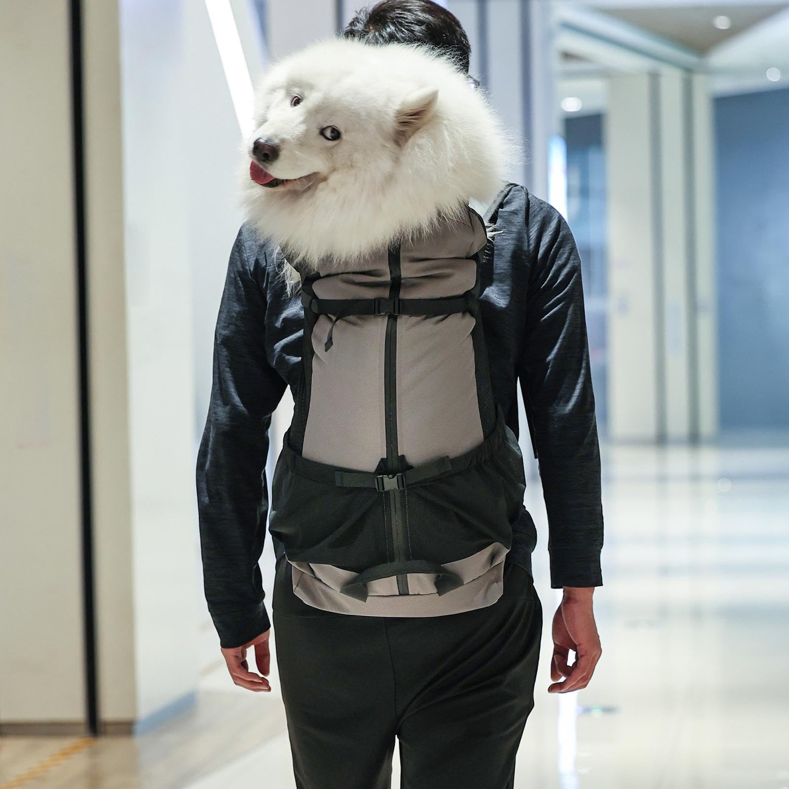 Mochila grande para perros - Bolsa de transporte para mascotas con diseño antipellizco | Mochila multifuncional al aire libre para perros, antiescape, espaciosa, cómoda, perfecta