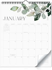 Aesthetic 2025-2026 Wall Calendar - Runs from January 2025 Until July ...