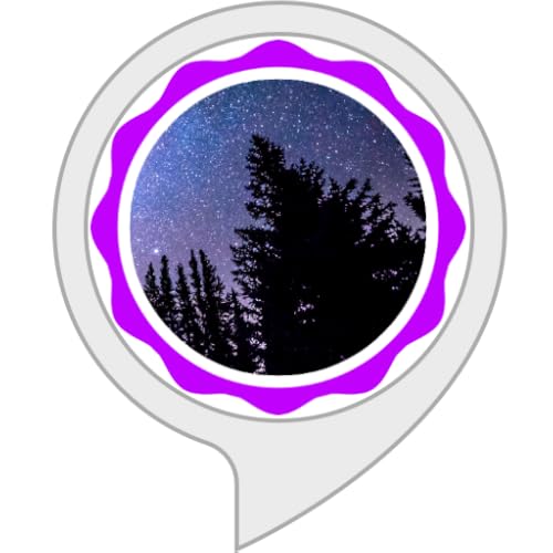Sonidos Ambientales: Bosque Nocturno