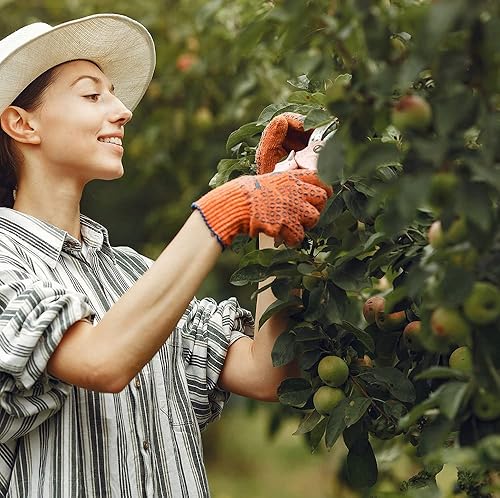 Miniatura 5 de Dr. Connie's Fruit & Shade Tree Plant Food - Mezcla de nutrientes orgánicos para árboles con certificación OMRI - Apoya la floración, el crecimiento