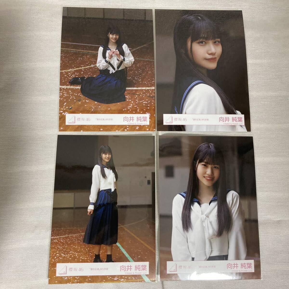 Amazon.co.jp: 櫻坂46 向井純葉 夏の近道 MV衣装 生写真 コンプ 4枚 