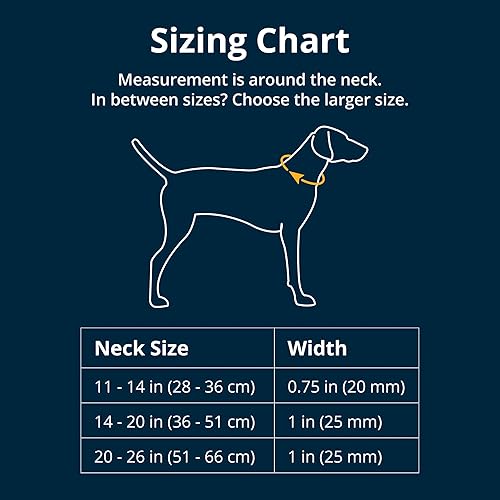 Miniatura 2 de Ruffwear, Front Range Collar de perro, duradero y cómodo para uso diario, gris crepúsculo, 14 a 20 pulgadas