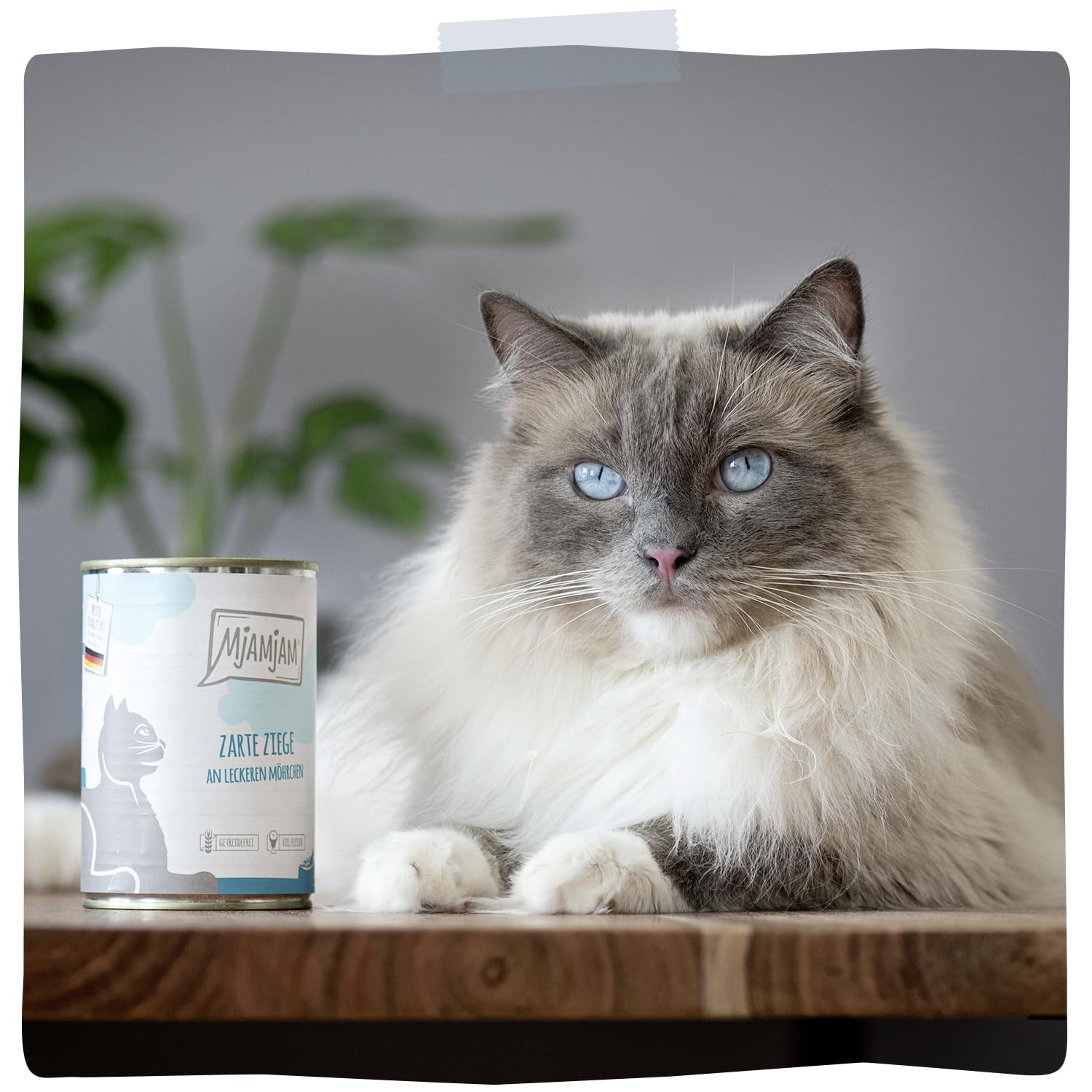 MjAMjAM - Premium Nassfutter für Katzen - Mixpaket II - Huhn & Kürbis, Pute, Ente & Geflügel, 6er Pack (6 x 800 g), getreidefrei mit extra viel Fleisch