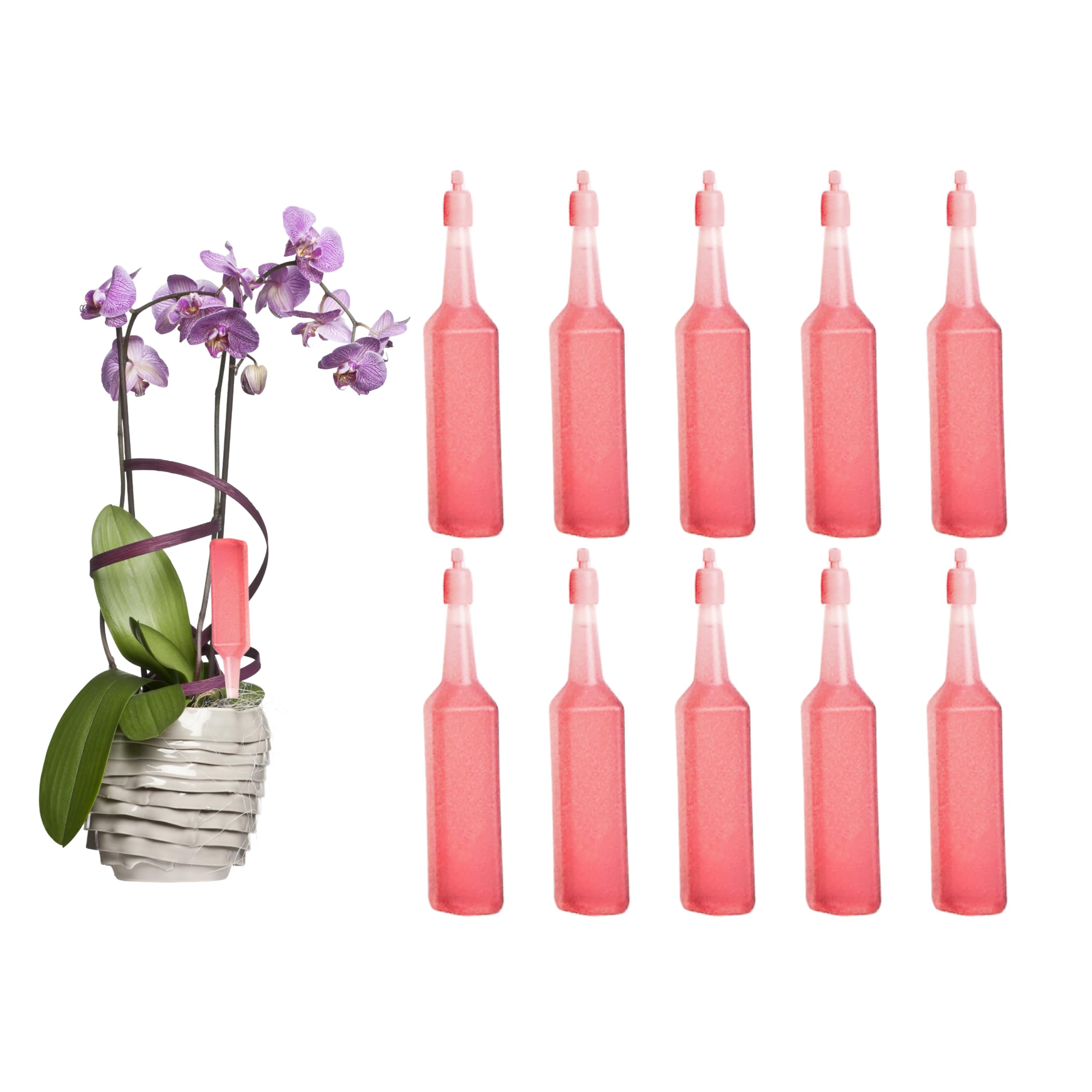 ADEPTNA Ready to Use Pack of 10 Drip Feeders Easy to Use Helps to Encourage Vibrant Colours and Bloom healthy growth Plants Flowers Trees (ORCHID)