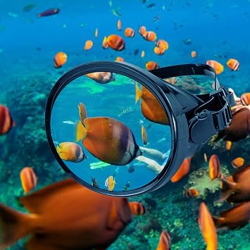 Snorkeling Gear Adults Protective Adjustable Wide Angle Clear Sight