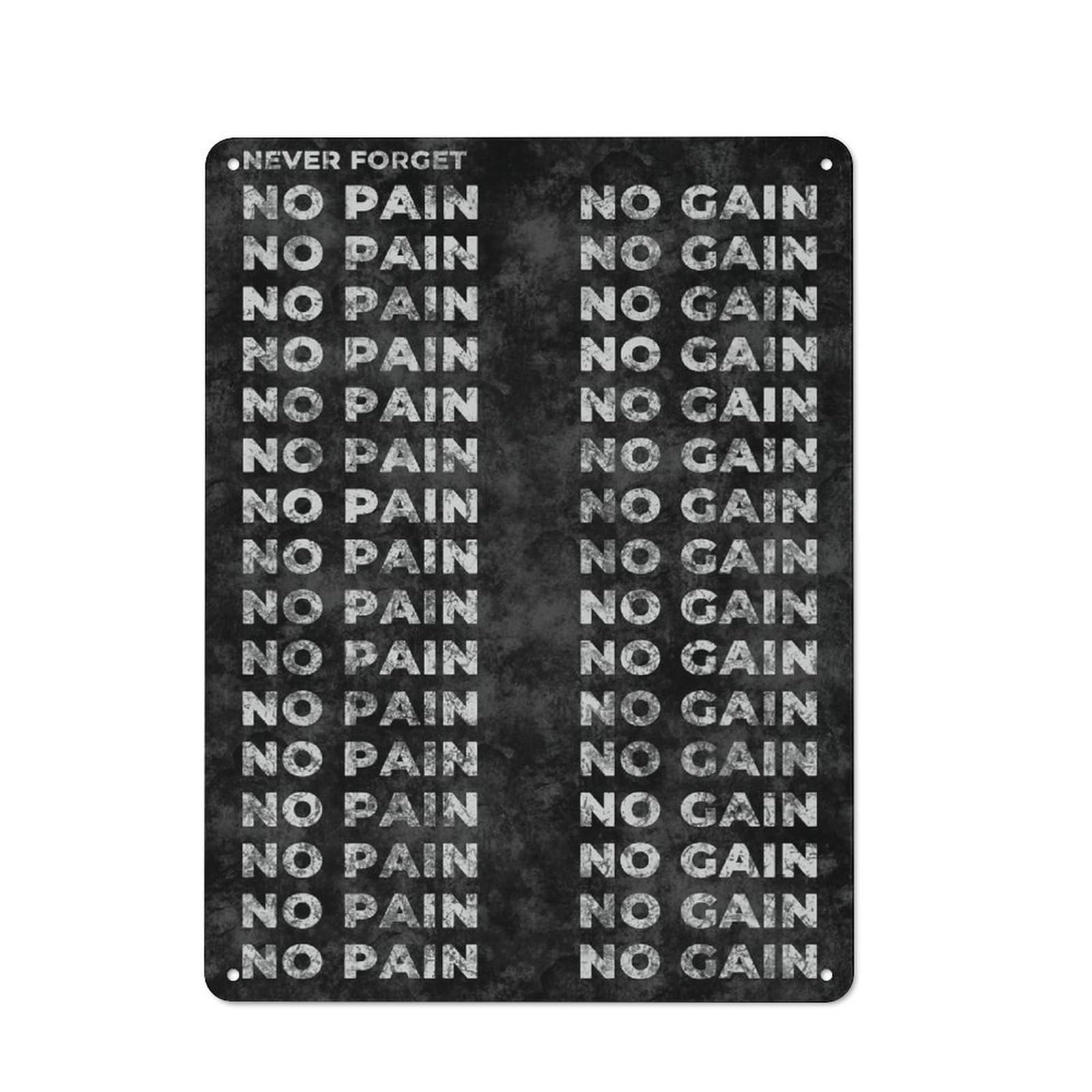 Junmoney Style-22 Casual No Pain No Gain Garden Room Metal Sign 40X30cm, Porch Wall Decor For Conservatory, Home Bar Or Utility Room
