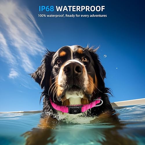 Miniatura 23 de Collar de perro reflectante AirTag – Collar de perro 100% impermeable con soporte AirTag Extra duradero, suave acolchado AirTag collares de perro