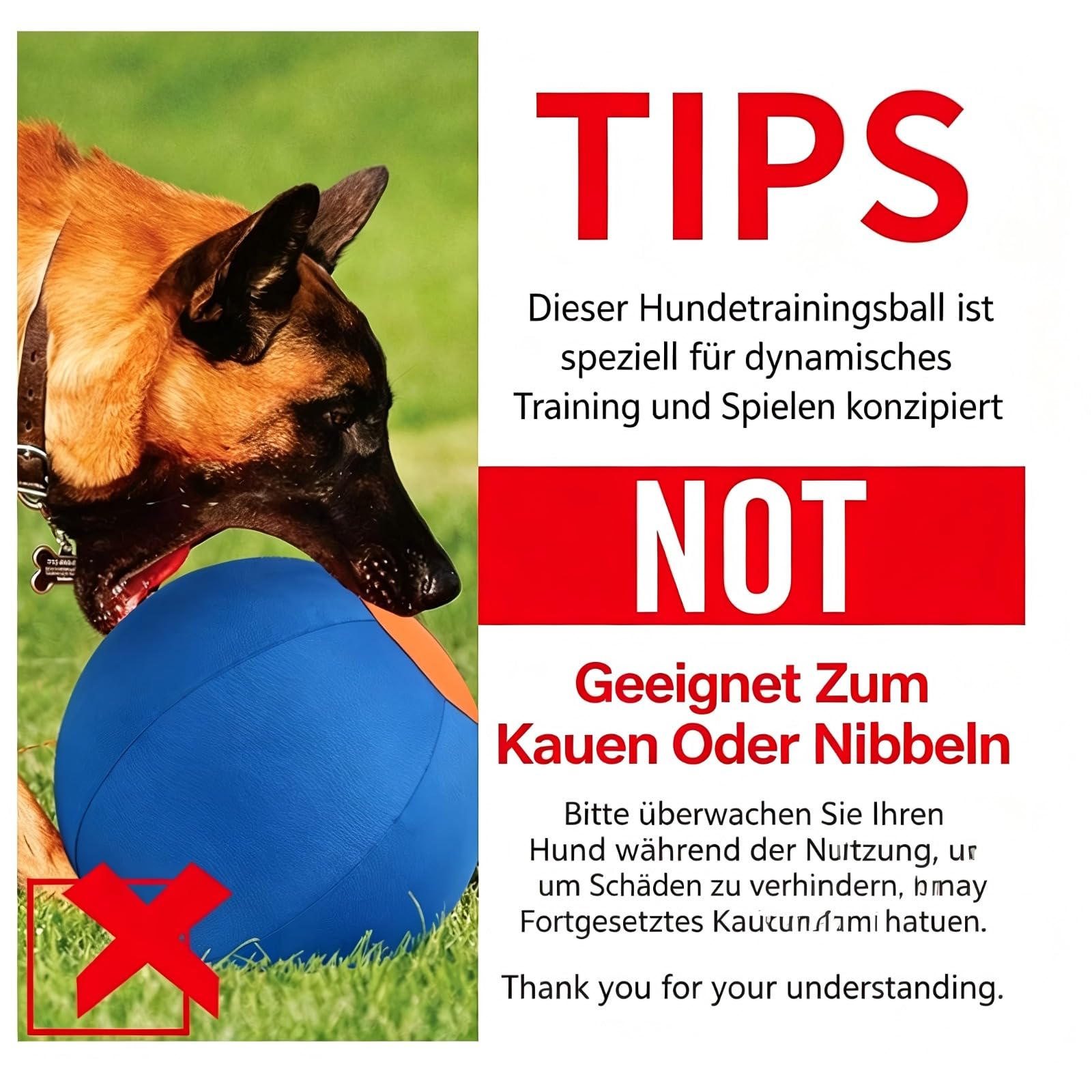 LentivaNorden Original Treibball, Treibball Für Hunde, Interaktives Hundeball für Innen und Außenbereich (Blau,L:65CM)