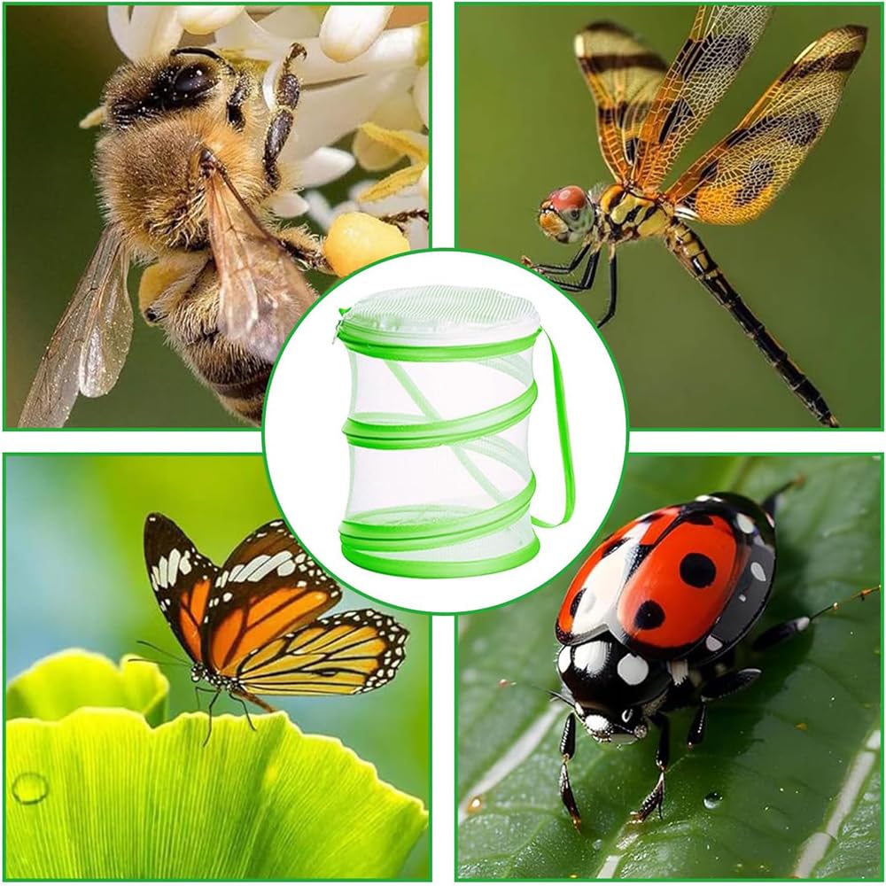 Jaula Plegable para Mariposas, Valla para Insectos, diseño portátil, Captura de Insectos, educación científica, Red de cría para Mariposas/luciérnagas/Plantas
