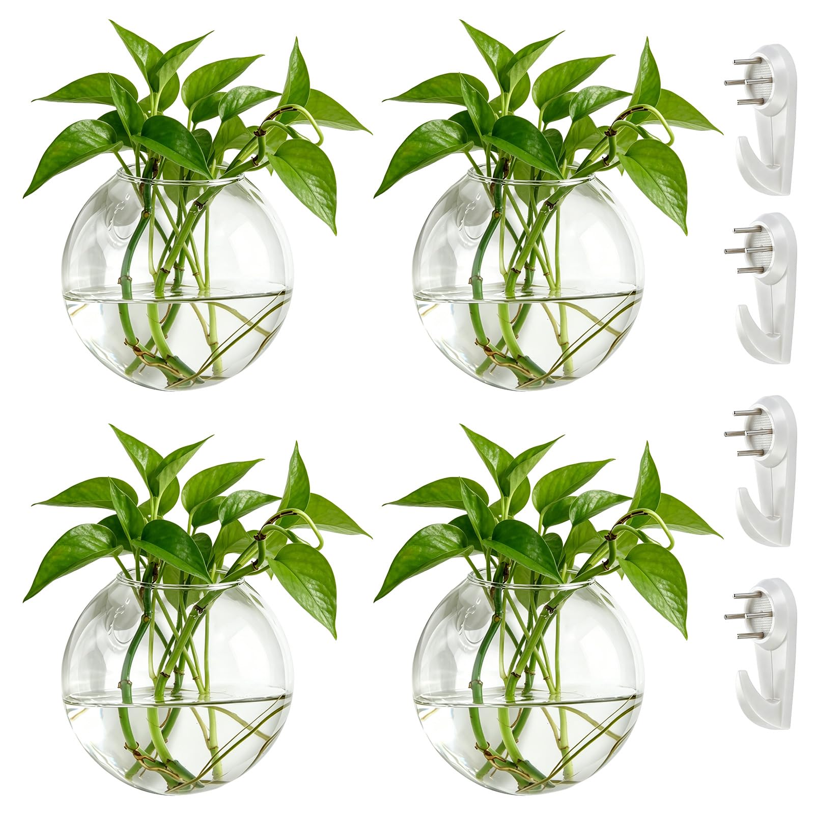 NUPTIO 4 Pcs Wall Hanging Glass Planters 10cm Diameter Round Glass Plant Pot - Water Planting Vases Air Flower Vase Plant Terrariums Plant Container