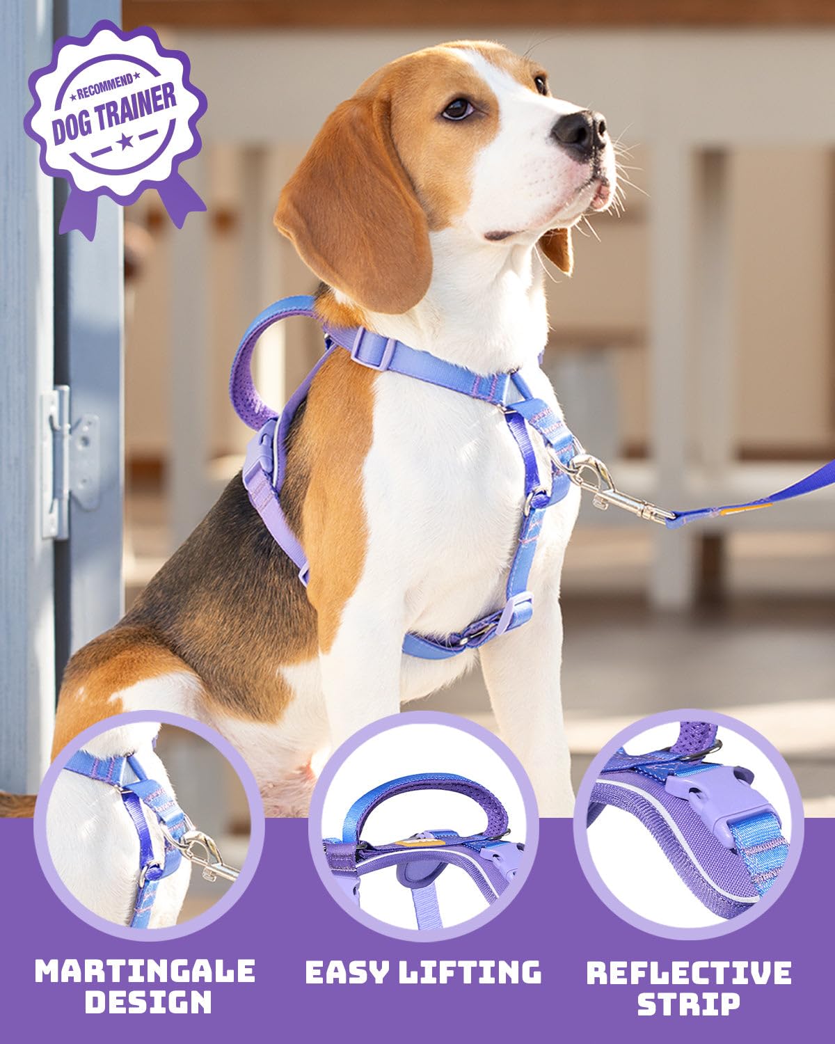 DF Freedom No Pull Martingale Dog Harness, Gentle Control for No Choking, Front Clip Harness with Reflective, 5 Point Adjustable and Safety Support Handle, Rainbow, 1