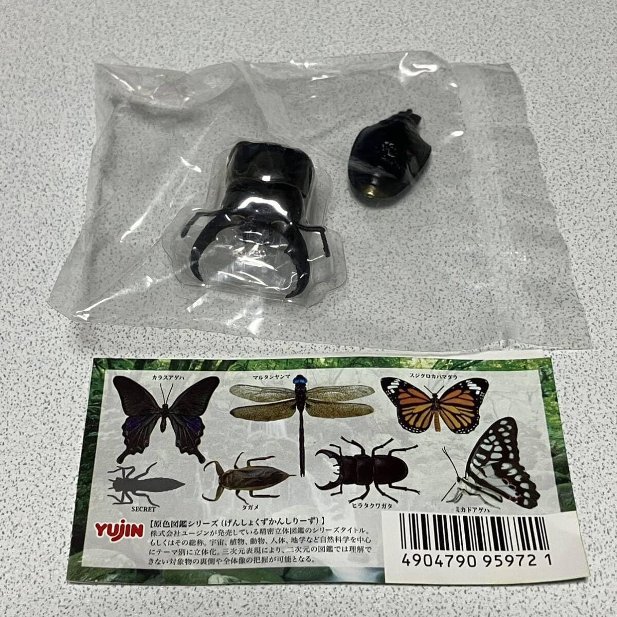 Amazon.co.jp: 原色日本昆虫図鑑Ⅲ ヒラタクワガタ ミニブック1枚付