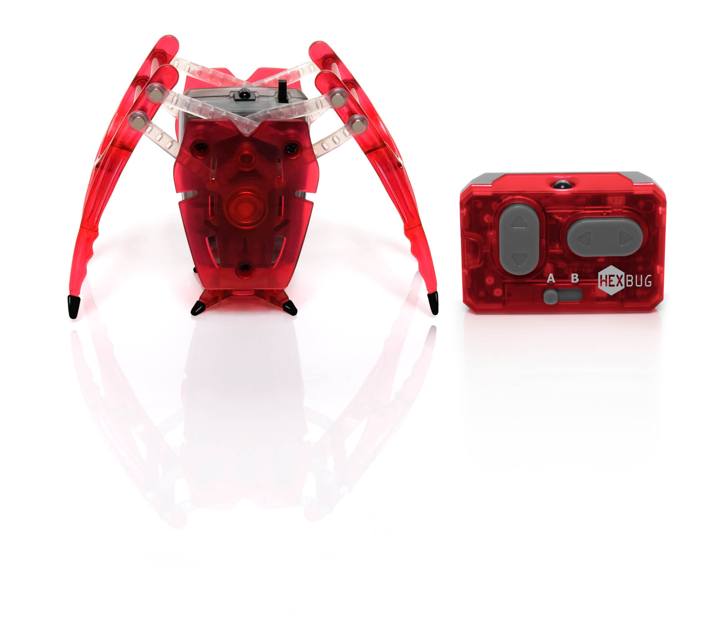 Hexbuginchworm Assorted Colors Desertcart INDIA