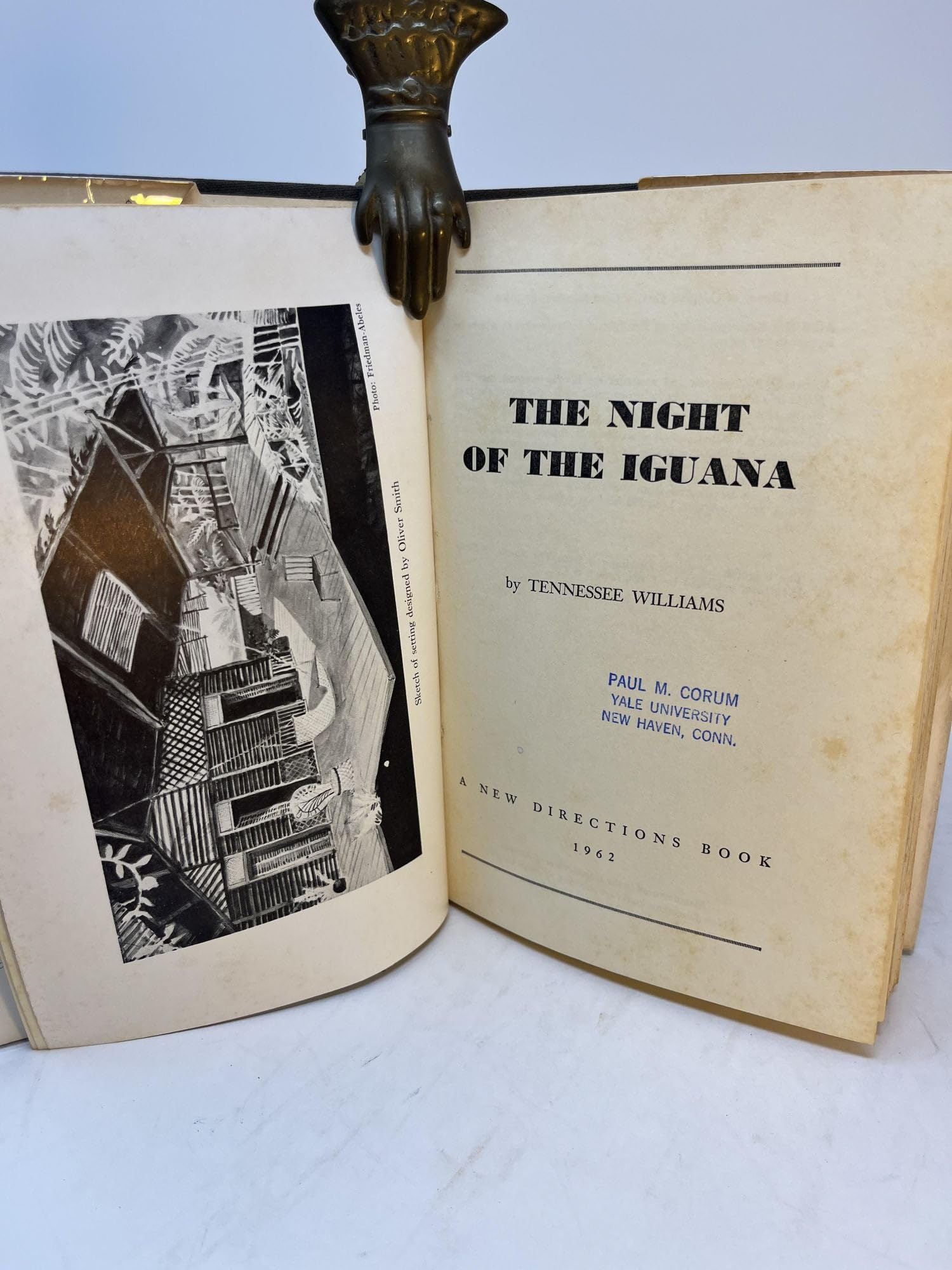 洋書 Tennessee Williams: Critical Essays Tennessee Williams