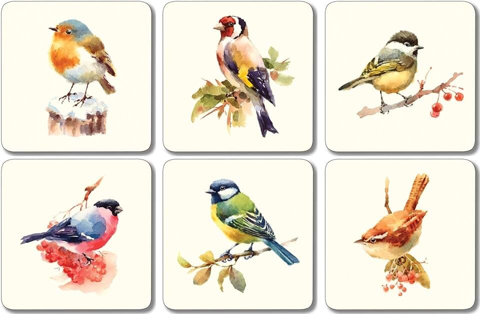 Amazon.co.uk coasters with birds