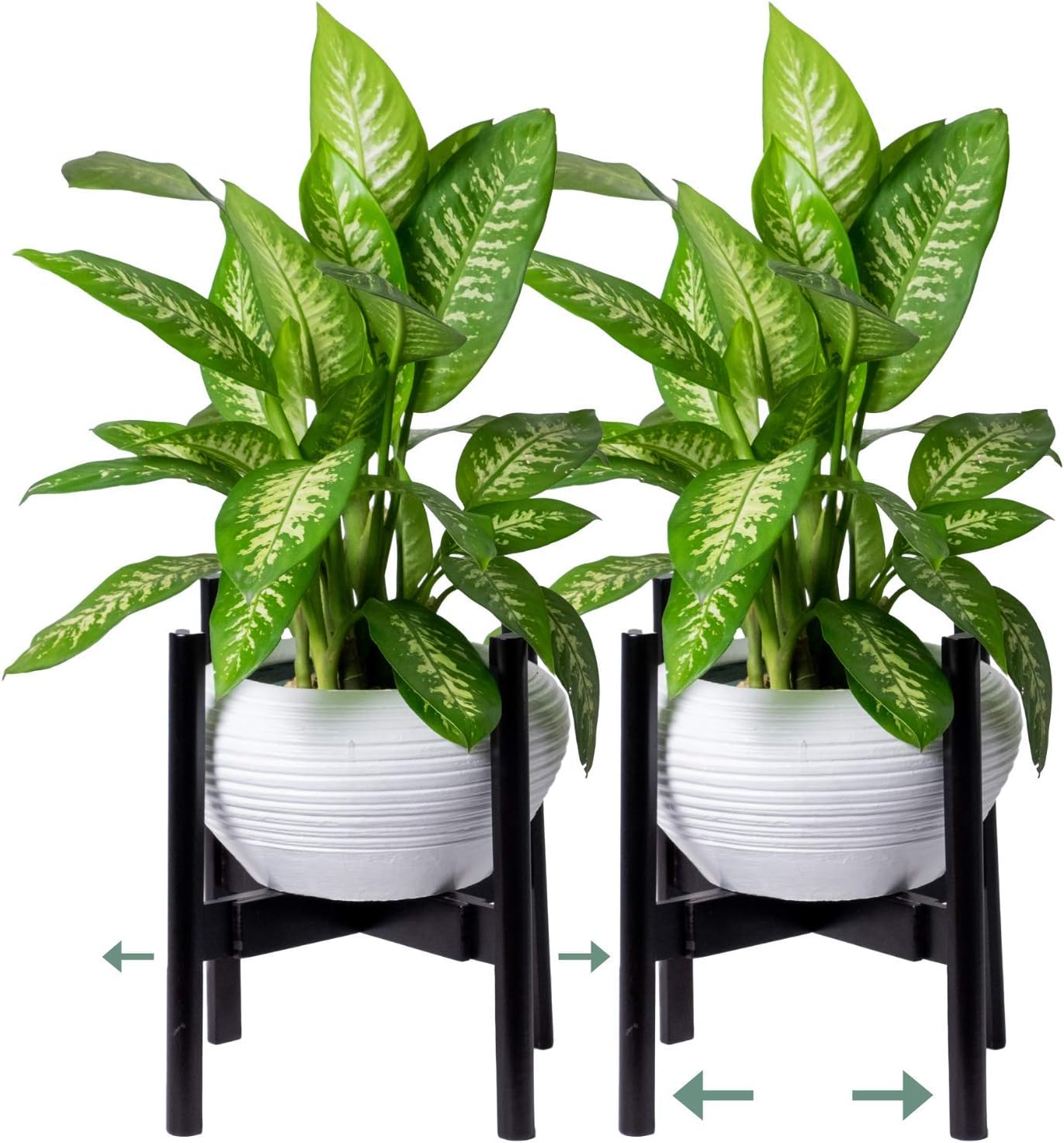 Mid Century Modern Wood Plant Stand for Indoor Outdoor Live