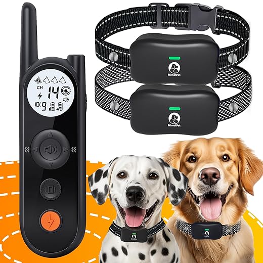 Wireless Dog Fence System for 2 Dogs