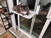 Review Image by Tito Tito