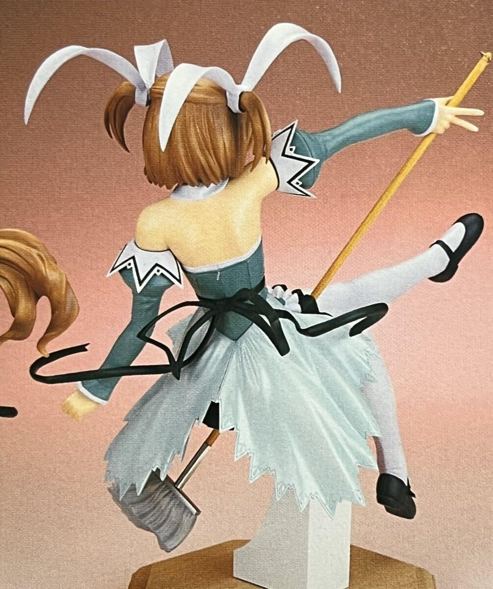 Amazon.co.jp: 15 愛沢ともみ フローラルミントタイプ AGGRESSIVE Pia