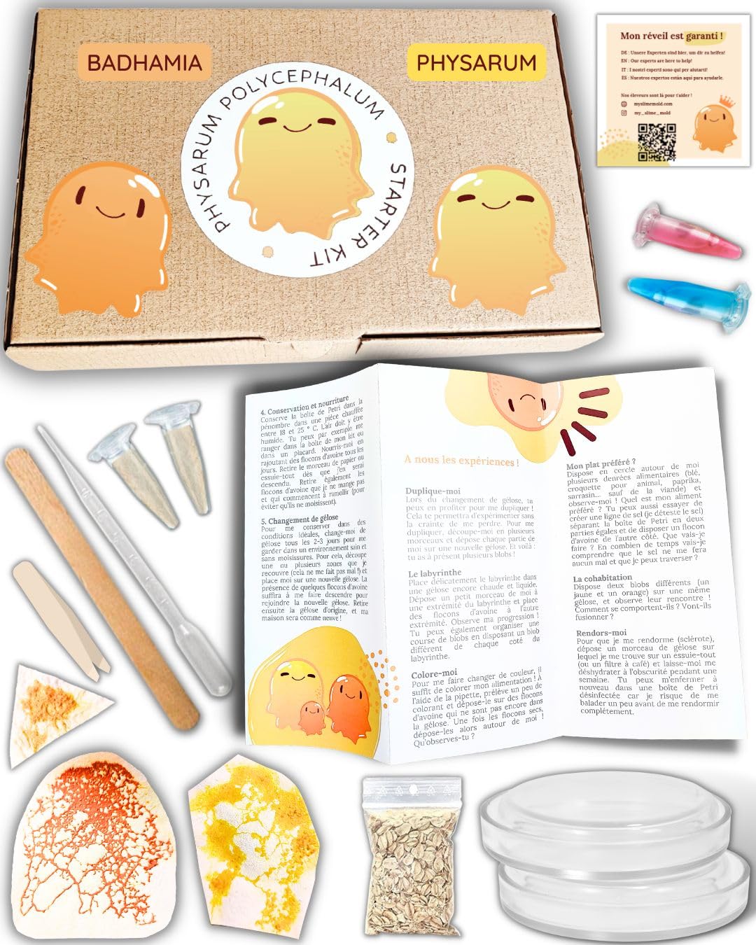 Kit de cultivo Blob, 3 blobs (amarillo y naranja) + colorantes de experimentación + guía completa en francés (disponible en español en PDF bajo solicitud), Cría francesa, Compra Blob regalo
