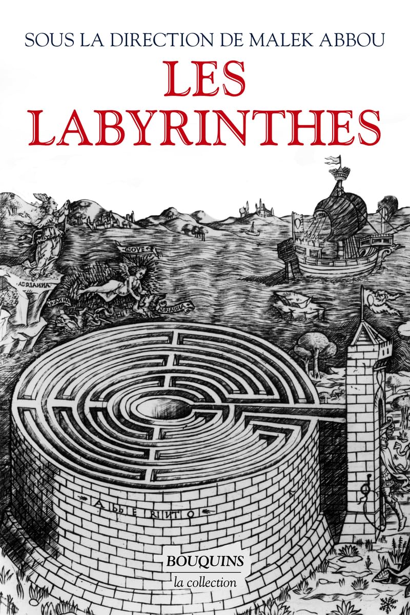 Les Labyrinthes: Vingt mille ans de métamorphoses