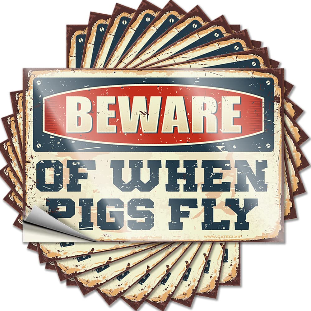 Bumper Half, Math Garage Beware of When Pigs Fly | Men(12X18CM)