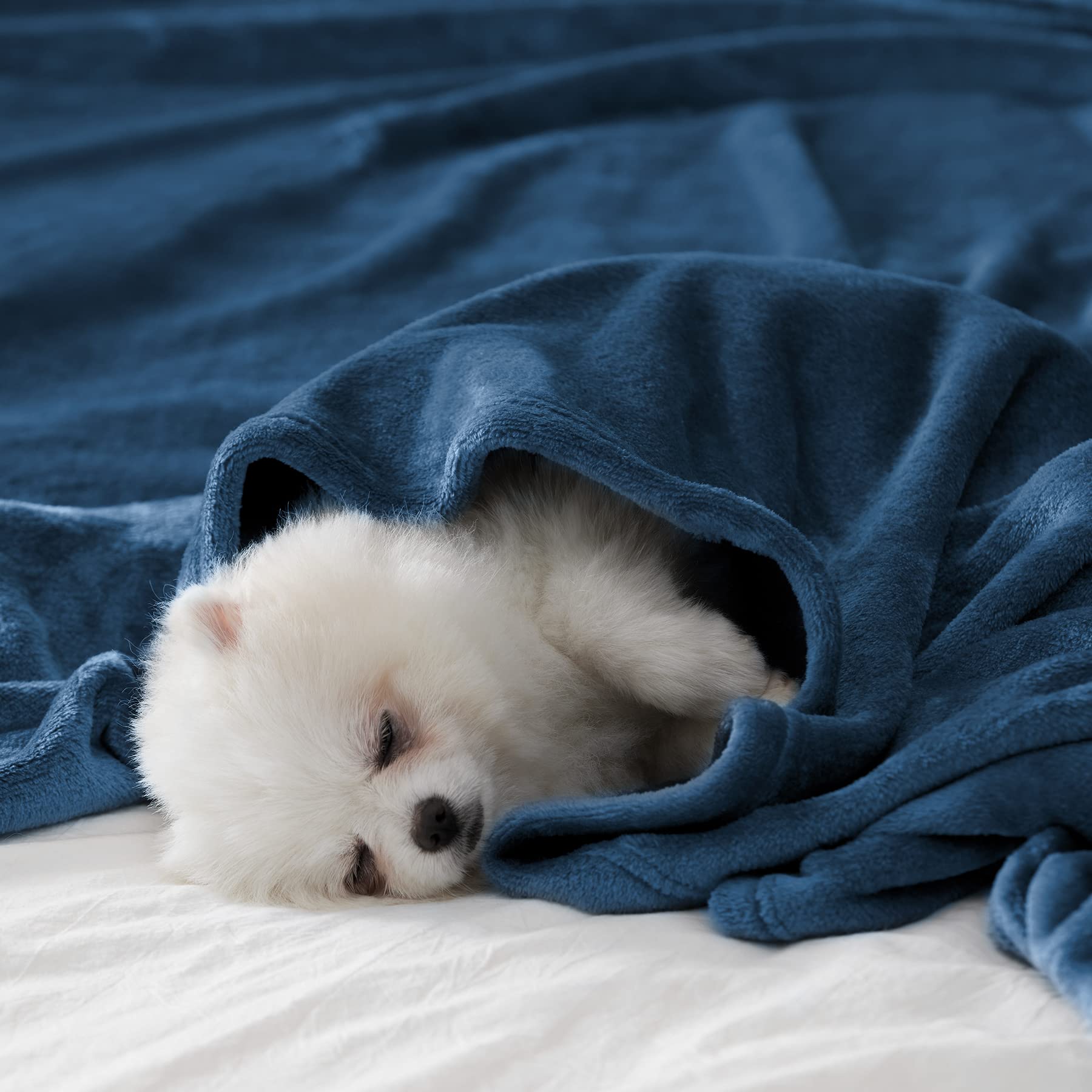 Amazon.com: BEAUTEX Fleece Throw Blanket for Couch Sofa Bed Soft