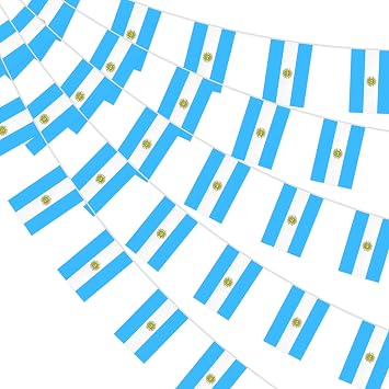32.8ft 38 Pcs Rectangle Argentina Flags Pennant Banner, Mini Argentine Hanging Banner Flag, Blue White Flags Bunting Banner for National Pride Independence Republic Day Indoor Outdoor Home Decorations