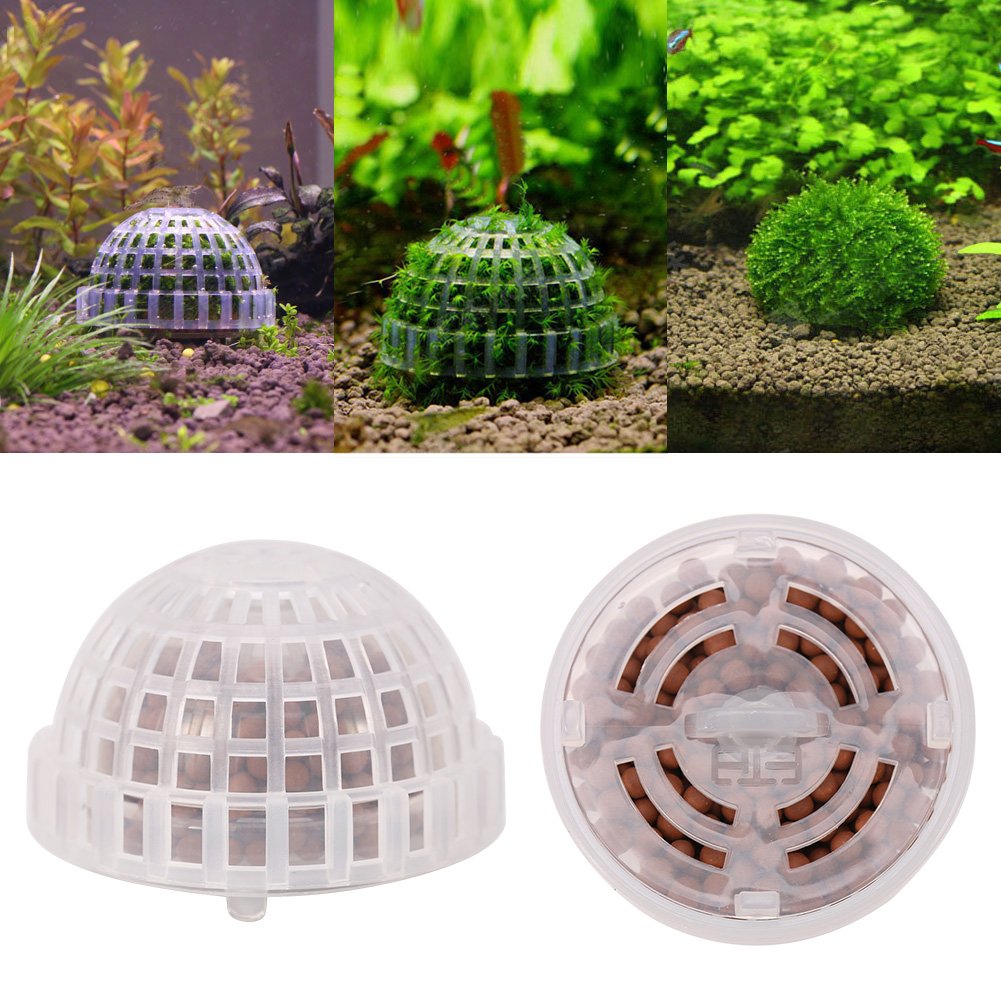 Amazon | 水族館モスボール 水槽用モスボール 植物ホルダー 植物栽培 