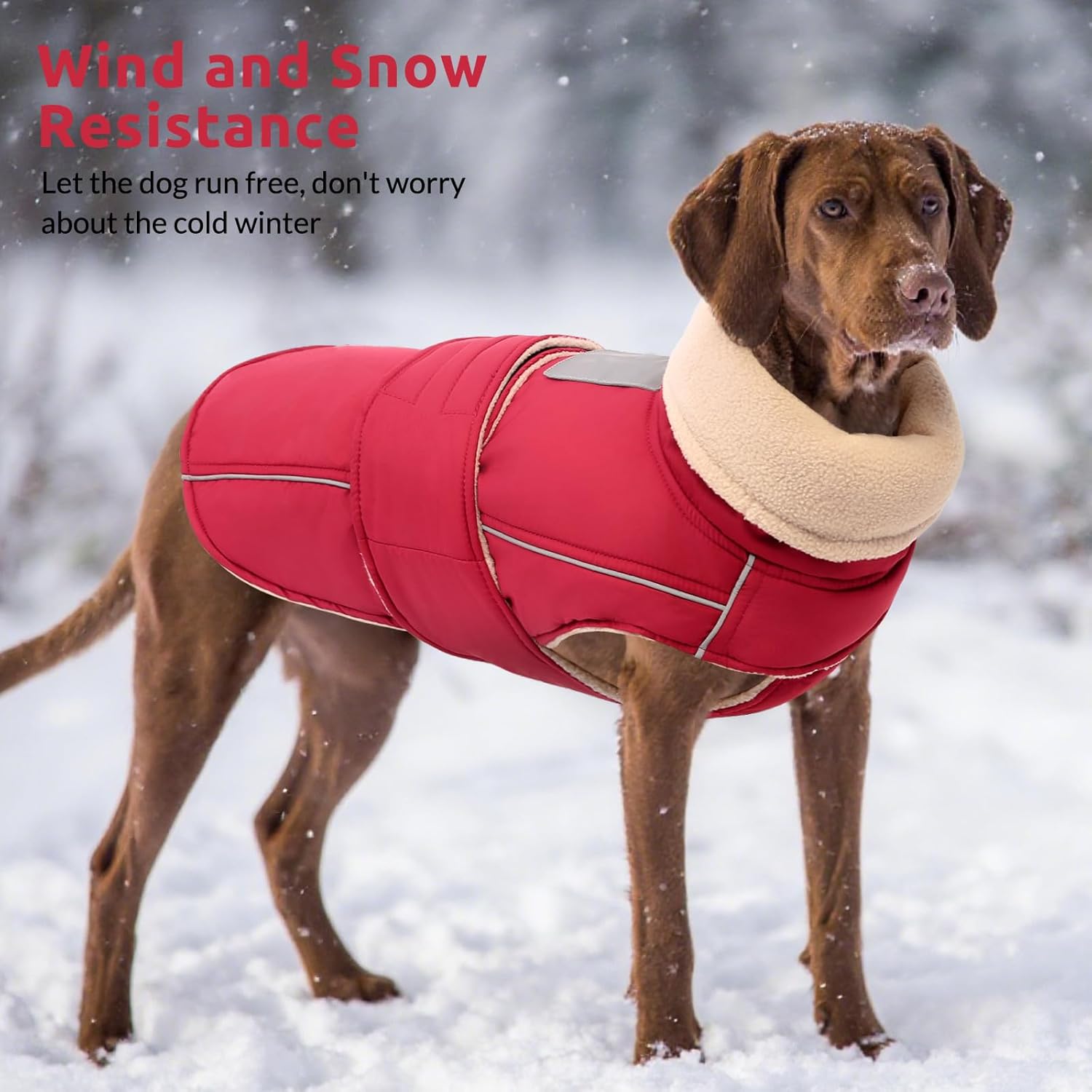 ASENKU Warm Dog Coat, Waterproof Dog Jackets for Large Dogs with Reflective Fleece Vest Turtleneck with Button,Windproof Cold Weather Coats for Small Medium Large Dogs, Red, 3XL - Image 7