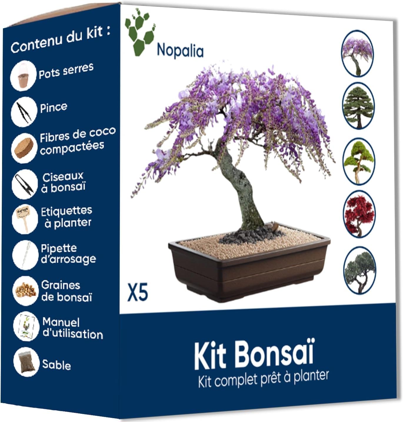 NOPALIA® Kit Bonsái – Cultiva Tu Propio Bonsái de Interior – Idea de Regalo Original para Hombre Mujer Niños – Kit de Jardinería – Mini Árbol Zen – Semillas Fáciles de Germinar