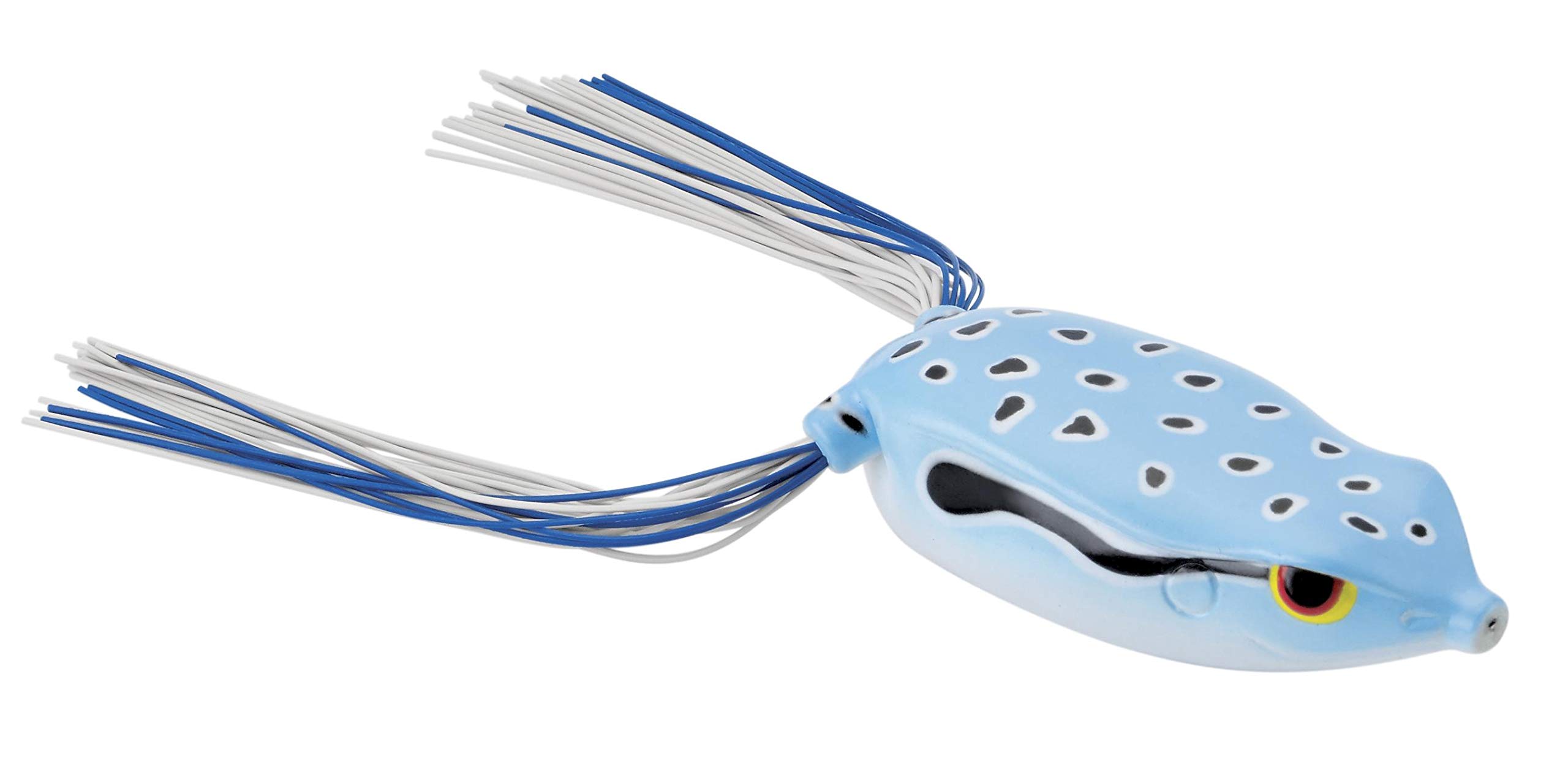 SproBronzeye Frog 65 Blue Sky