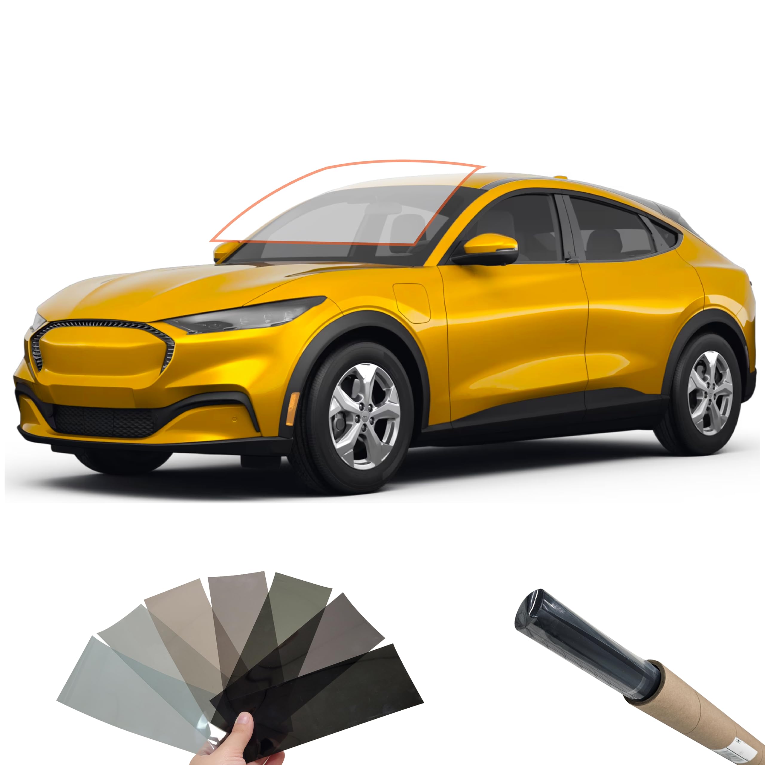 Amazon.com: DIY MotoShield Pro 2mil Premium Professional Precut