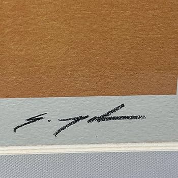 Amazon.co.jp: 葉祥明 夕陽の丘 ダイヤモンドスクリーニング