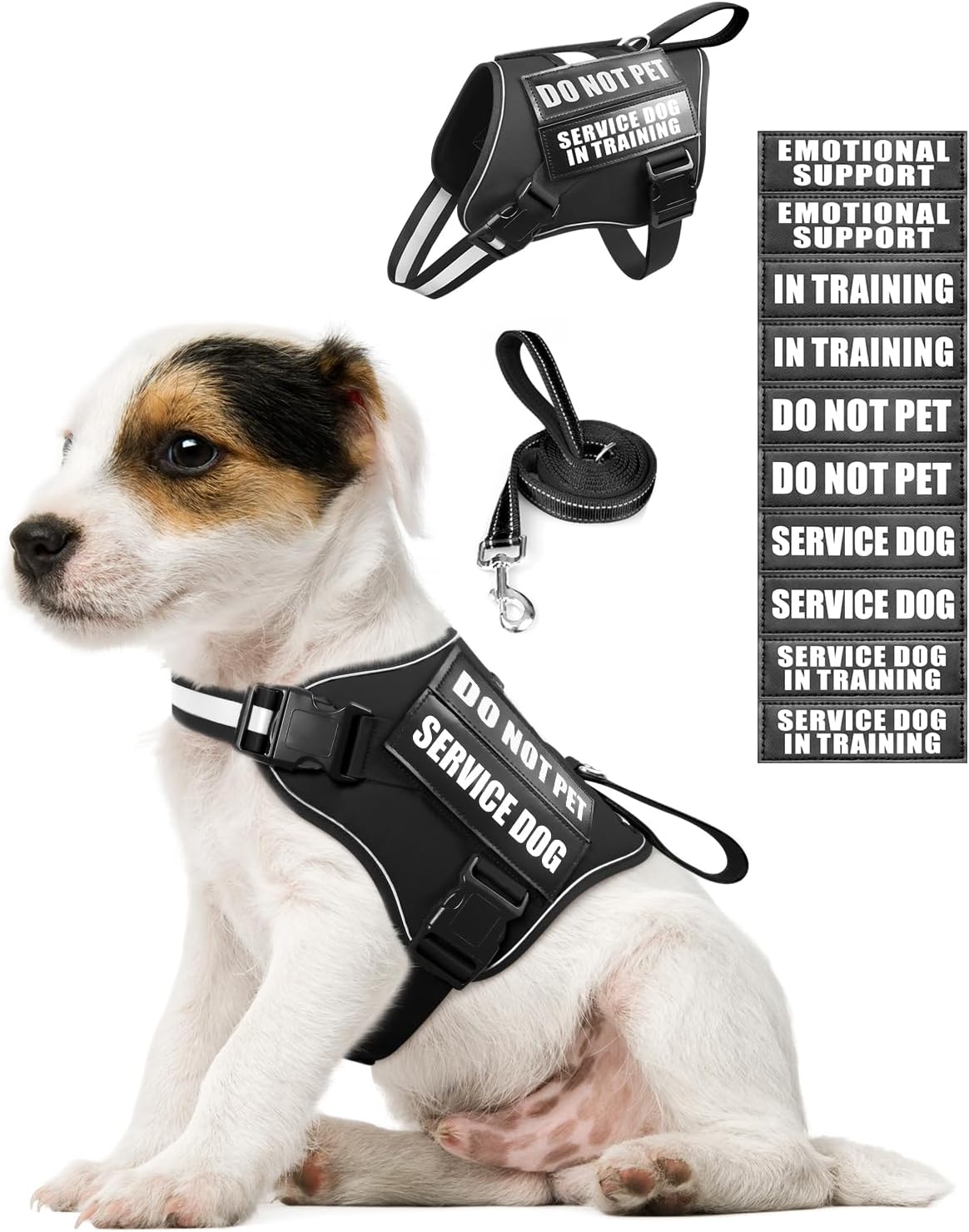 Abbidot Dog Training Collar JANPET Hunting Dog Training