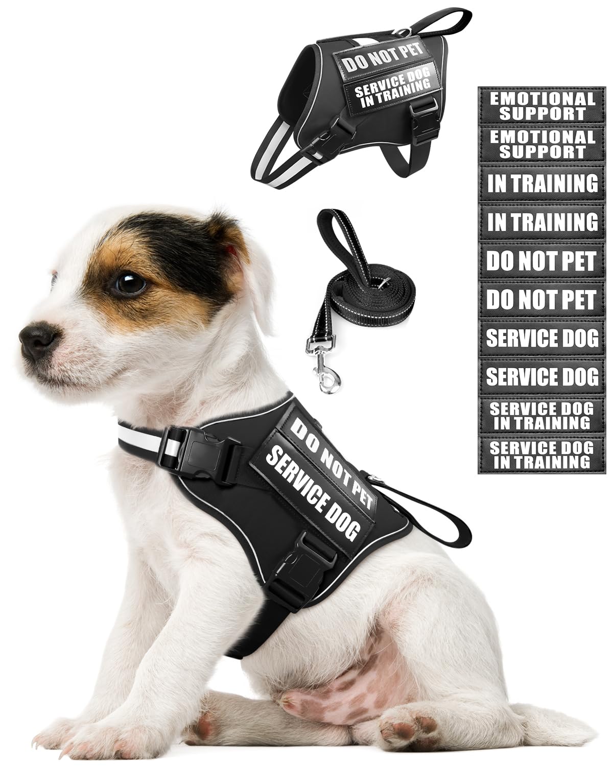 MOOGROU Service Dog Vest Harness and Leash Set+10 Patches for Puppy Small Dogs,Do Not Pet Emotional Support Dog Vest with 2 Soft Padded Handle for Everyday/Training (Black XS)
