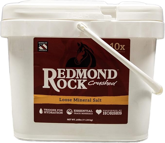 REDMOND Rock Crushed Loose Mineral Salt Electrolyte