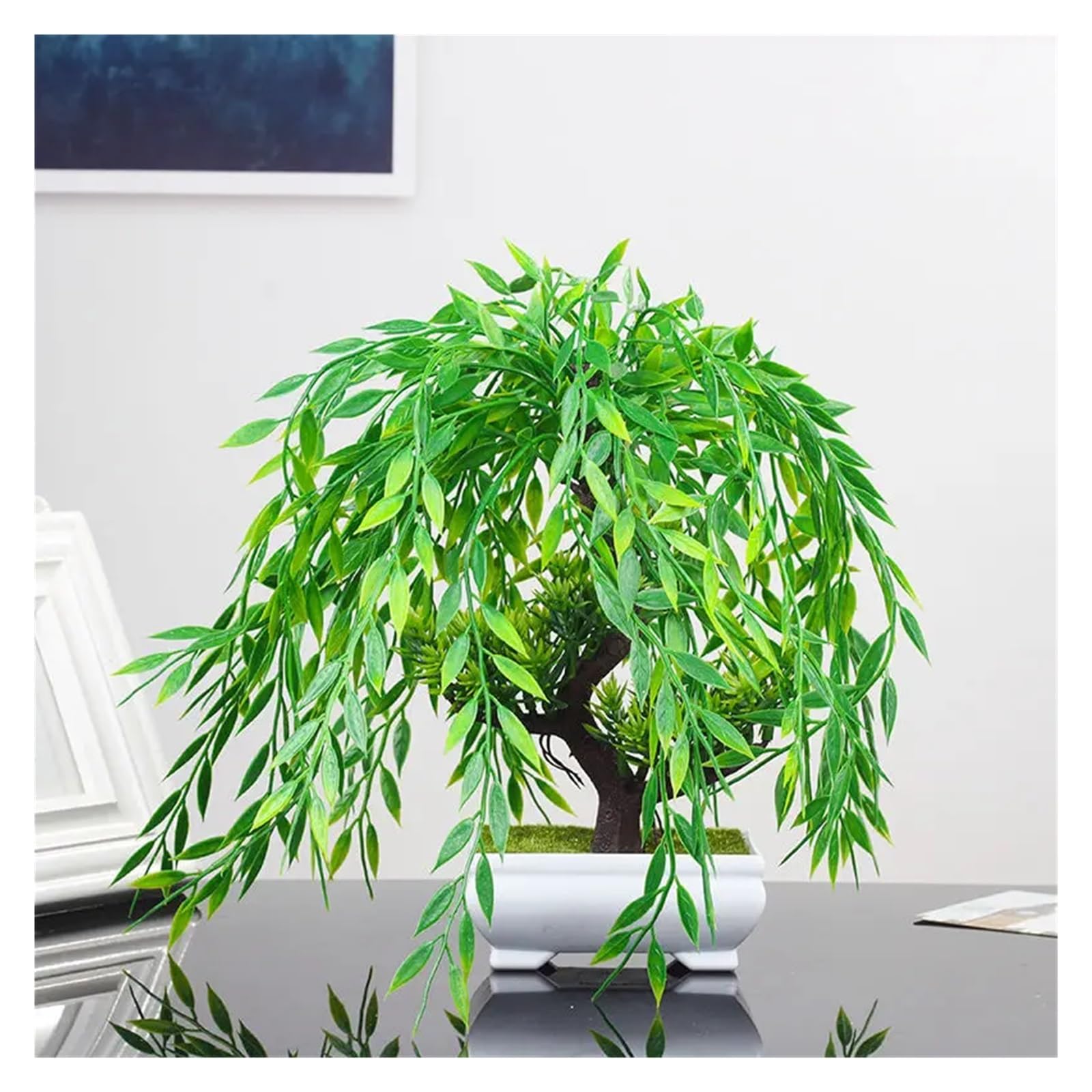 fig bonsai care Weeping Fig Bonsai