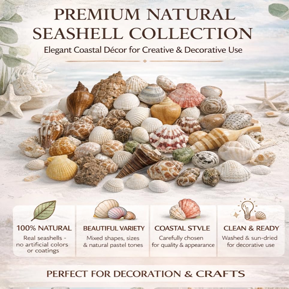 Image of Nivip Mixed Natural Seashells 450g - Different Sizes (2-6 cm), Unique Shapes & Colors for Aquarium, Vase Filler, Beach Decor, DIY Crafts, Resin Art, Home Decoration