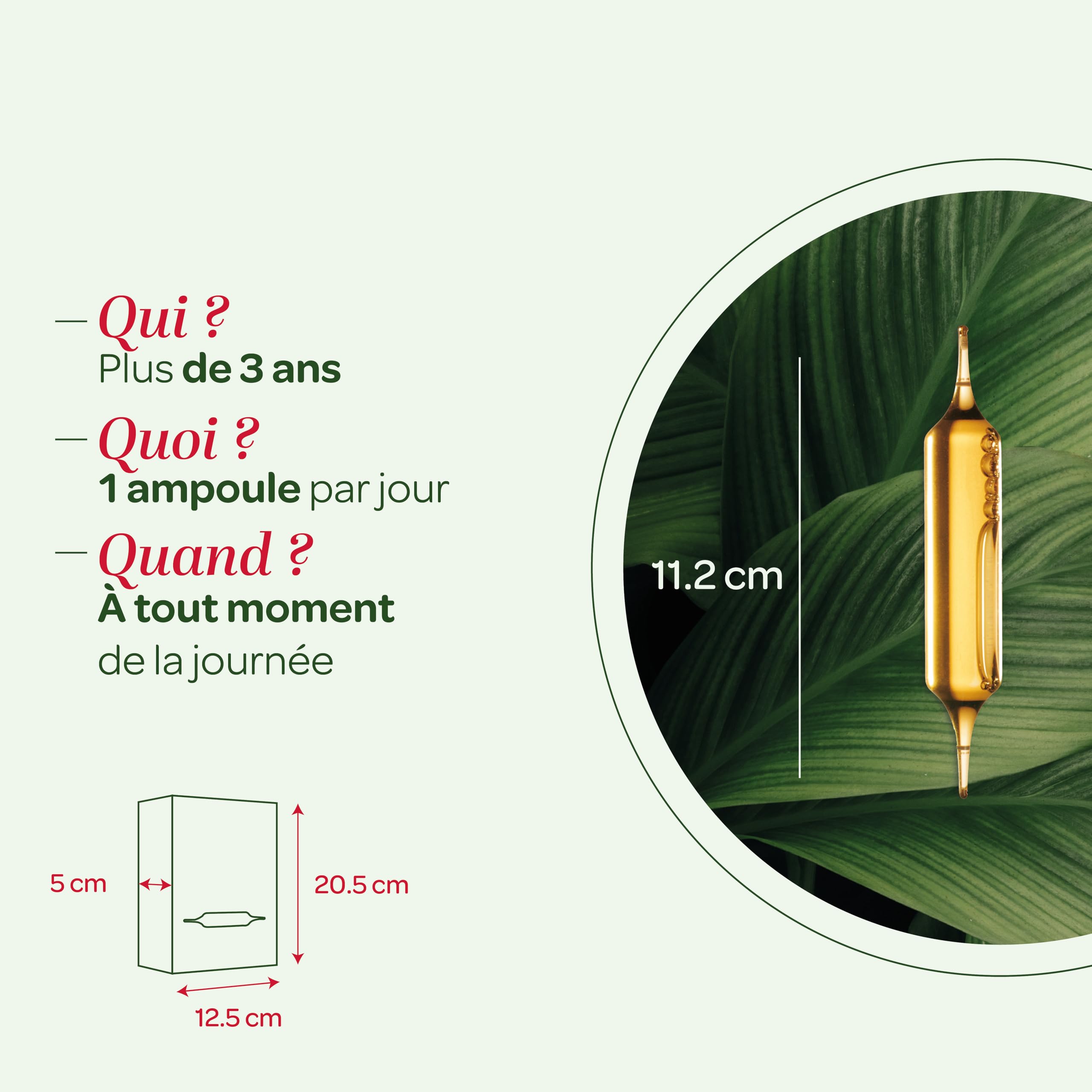 SuperDiet Quator Marronnier, Hamamélis, Vigne Rouge et Ginkgo 20 ampoules de 15ml soit 300ml (Lot de 2)
