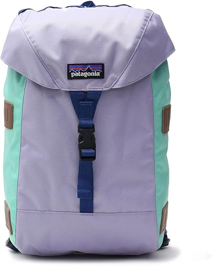 patagonia backpacks amazon