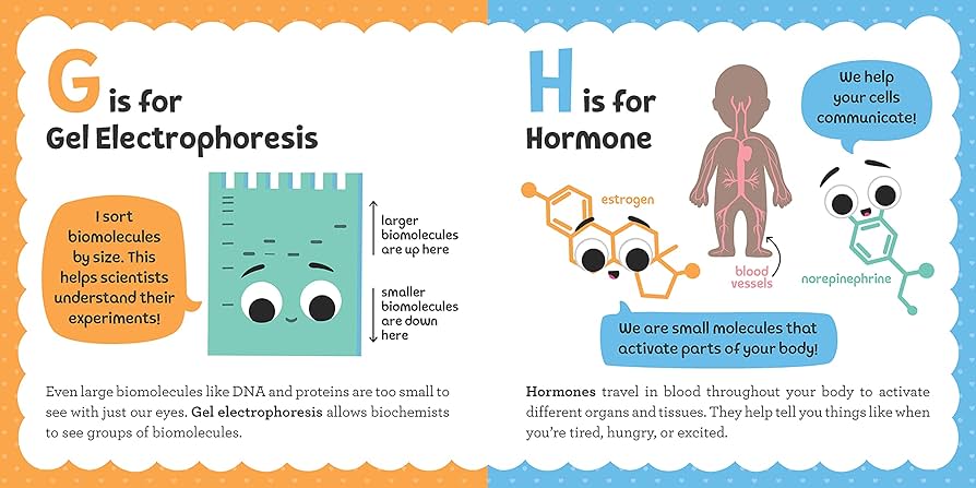 洋書 BIOCHEMISTRY Biochemistry, 4th Edition | Wiley