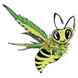 CannaVibes.tv
