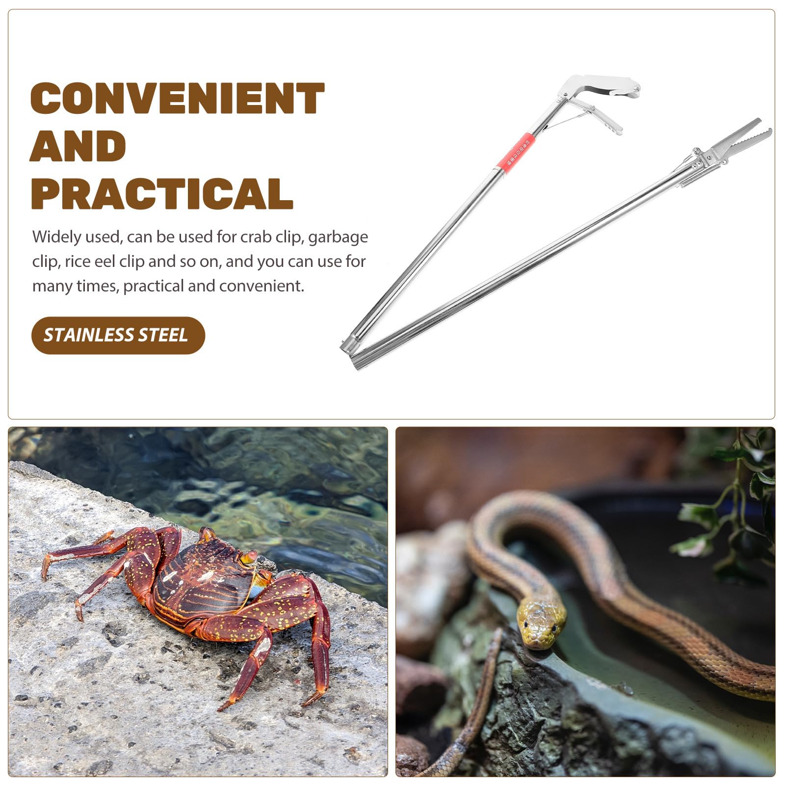 Alipis Pinza de Clip Multifuncional Acero en de para Inoxidable Alta Plegable Durabilidad y Captura para Uso Exteriores de Reptiles