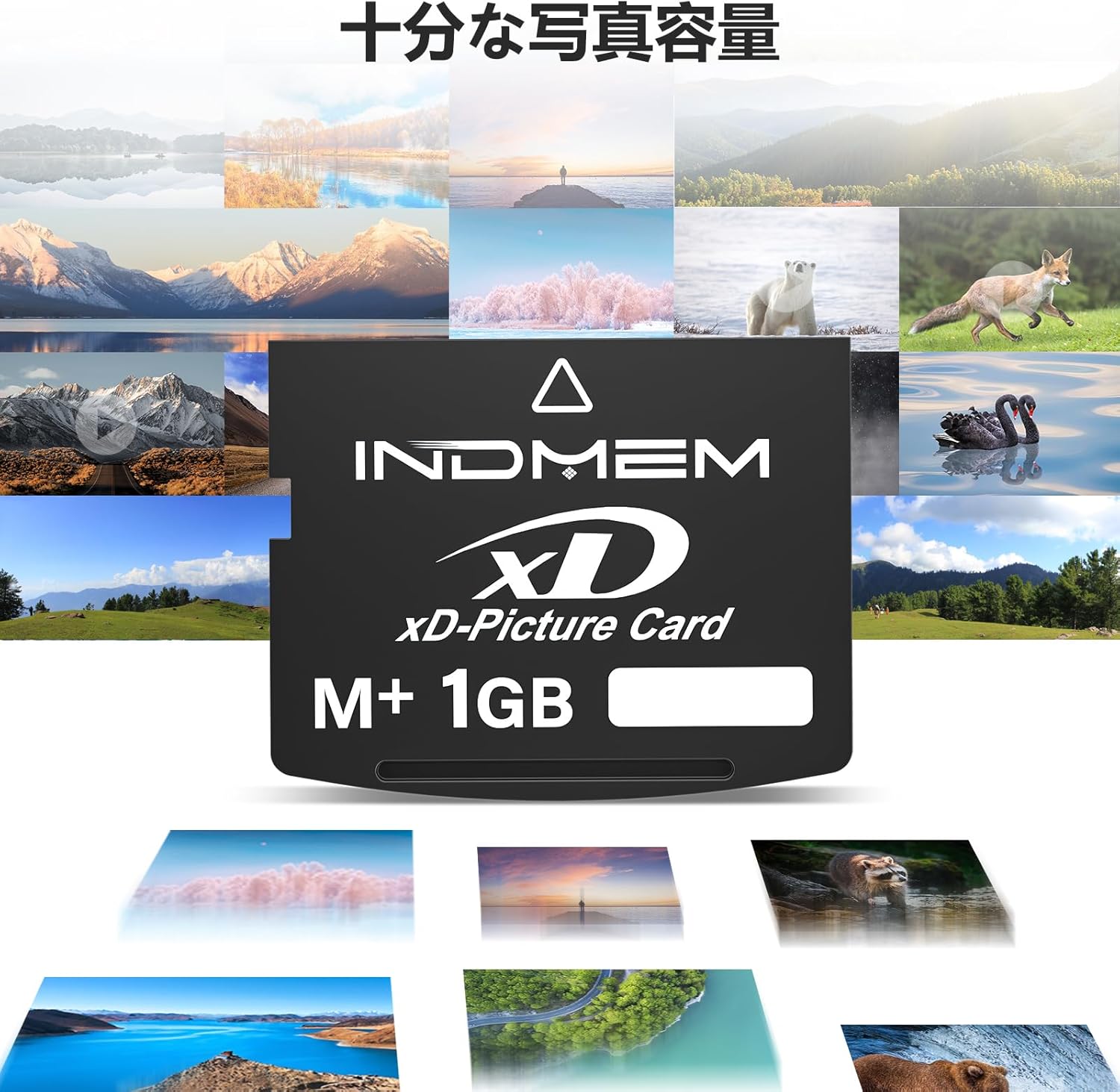 INDMEM xDピクチャーカード 1GB Type M+ XDカード xD Picture Card