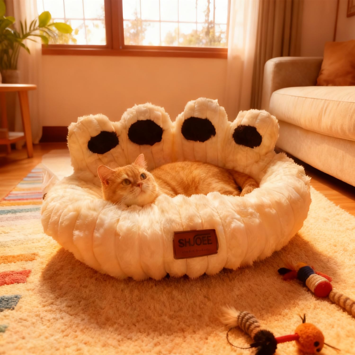 Cuccia Cane Interno Letto Morbida per Cani Lettino Gatto Lettino per Animali Domestici Cuccia per Gatti Fluffy Peluche Letto per Cani Lavabili Antiscivolo (Beige, 60cm)