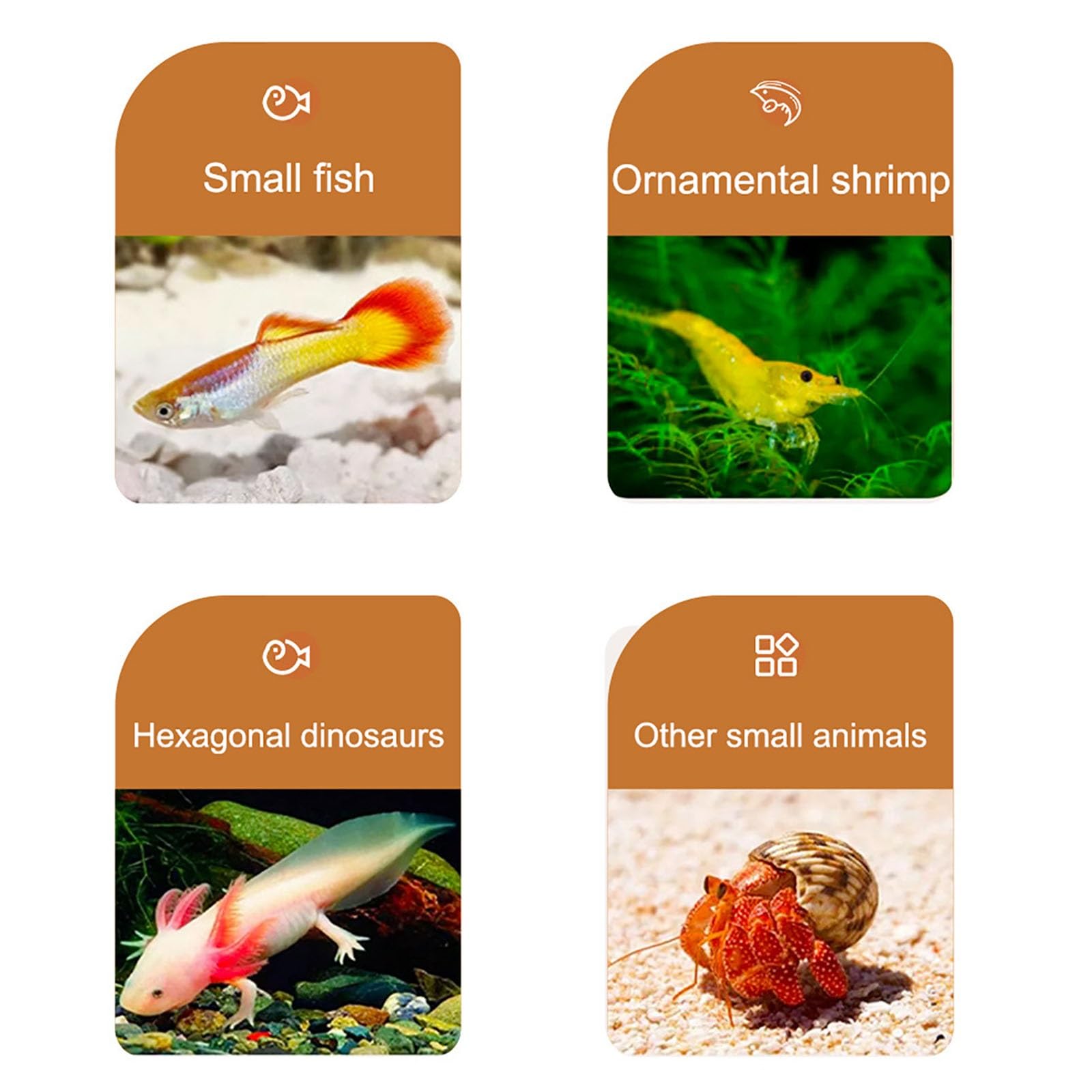 Set da scrivania per acquario, serbatoio di avviamento ultra trasparente, piccolo serbatoio per pesci, sistema autopulente, per principianti, kit per mantenere gamberetti Betta (nero, piccolo)
