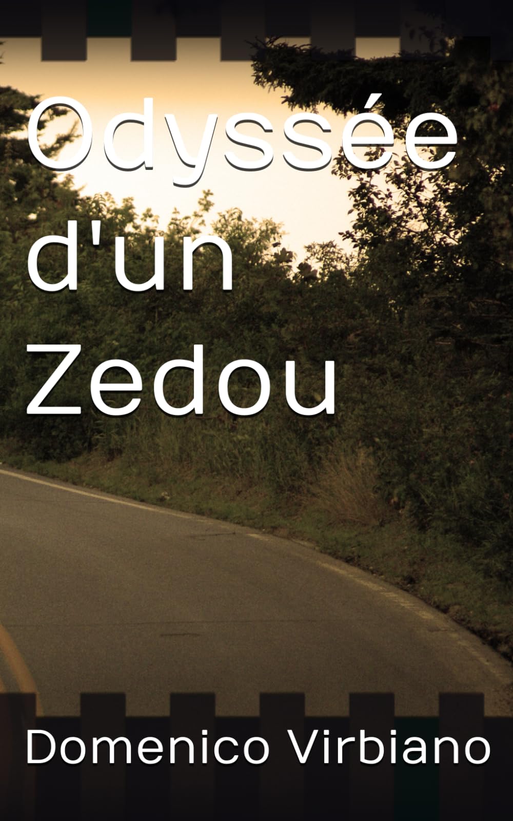 Odyssée d'un Zedou