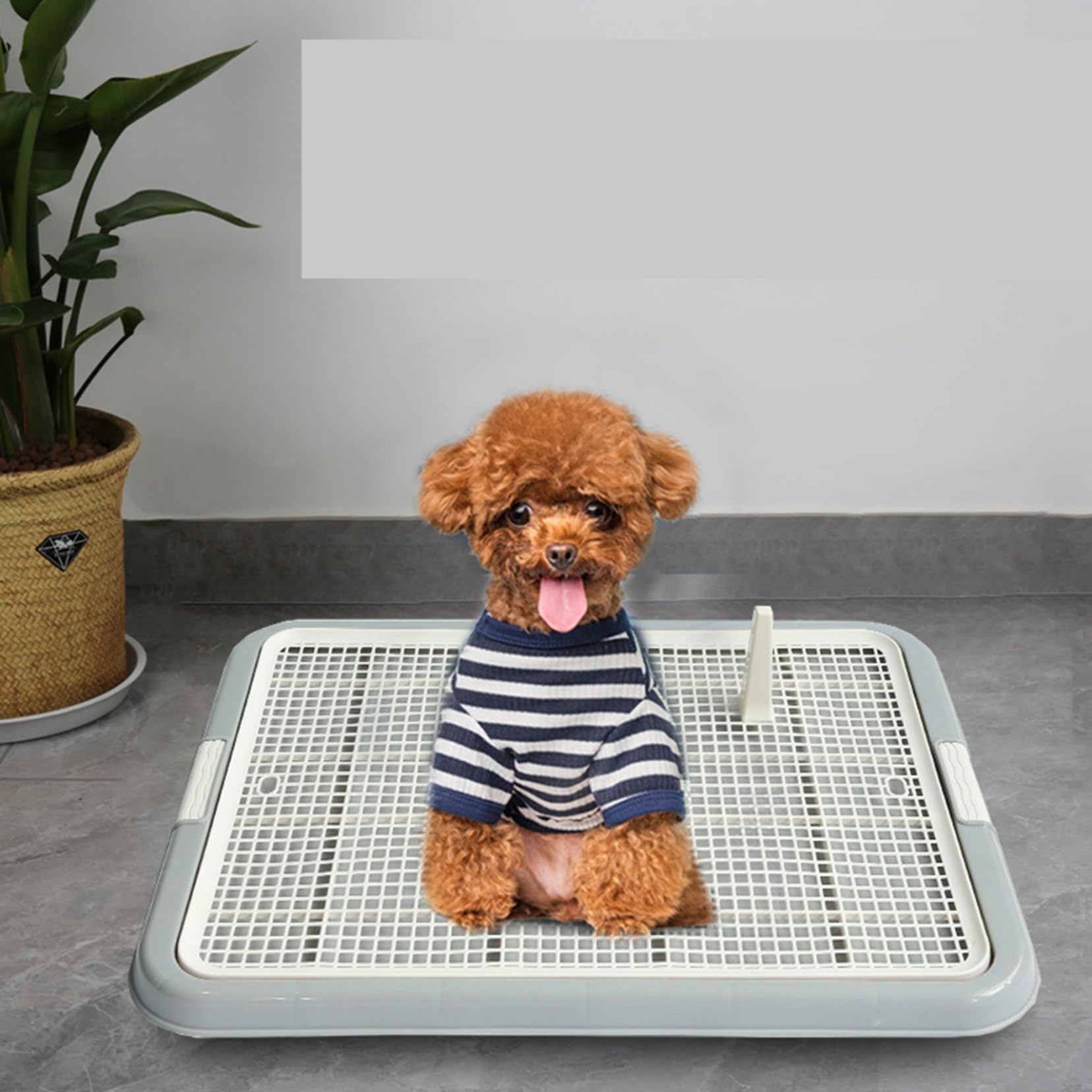 ♯Kui23Ho　マーキング犬　シークレット入8種 ♯Kui23Ho マーキング犬 シークレット入8種 ♯Kui23Ho