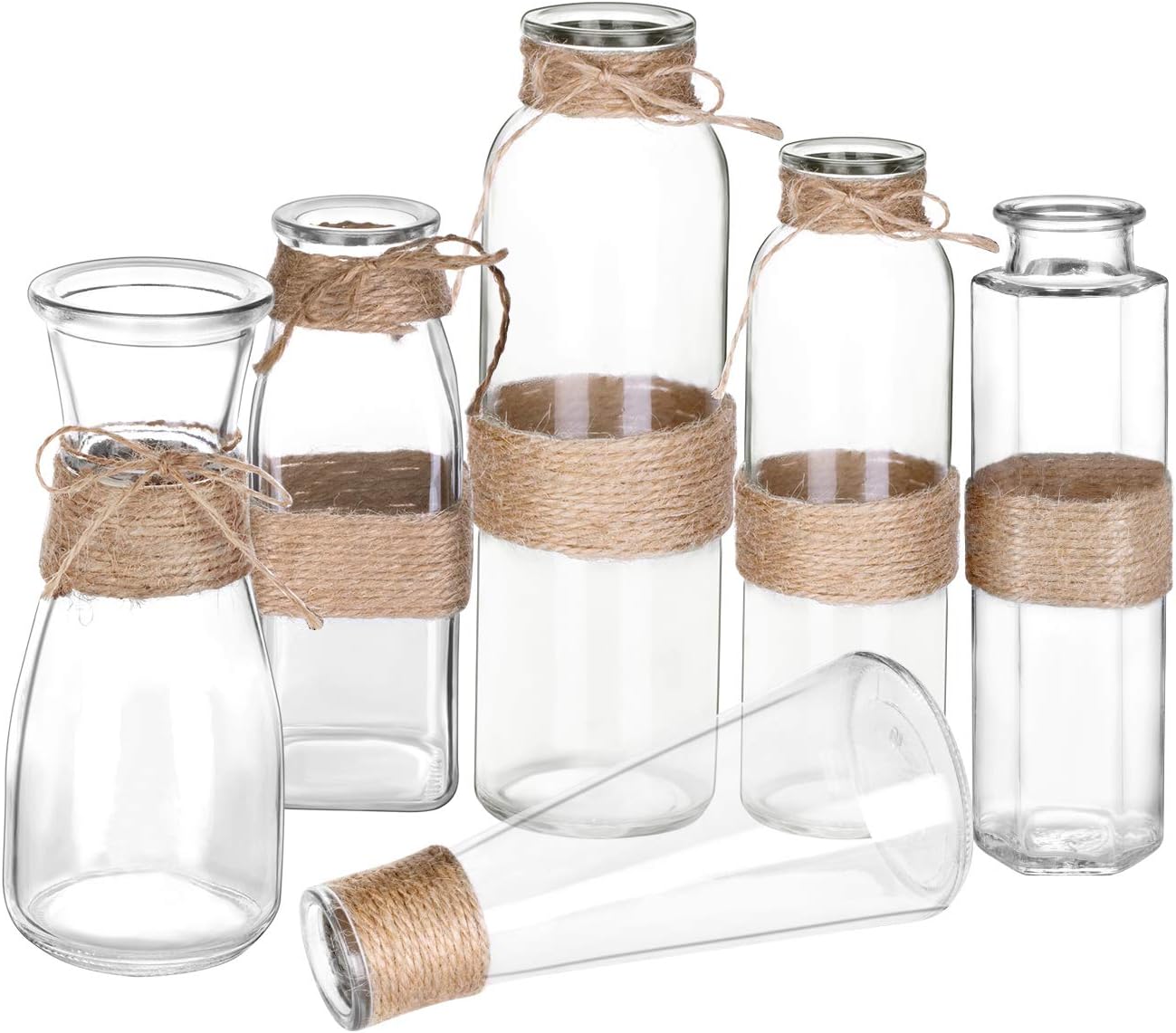 Jelofly Glass Vases Clear Flower Bud Vase in Differing Unique Shapes Creative Rope Design - Set of 6